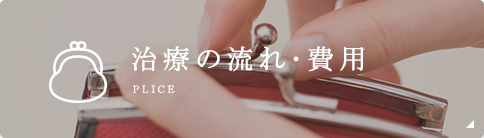 治療の流れ･費用 plice