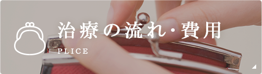 治療の流れ･費用 plice