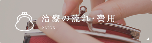 治療の流れ･費用 plice