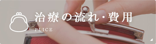 治療の流れ･費用 plice